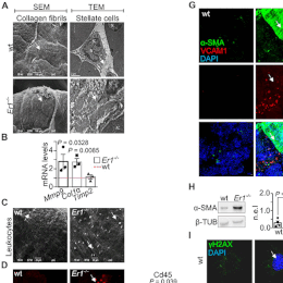 A new paper from our lab on Science Advances!